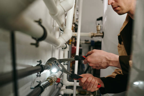 Best Commercial Plumbing Services  in Haslett, MI