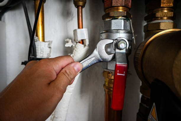 Best Residential Plumbing Services  in Haslett, MI